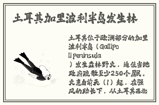 暴躁老太太35000镖客币